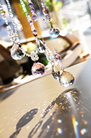 株式会社　星の種