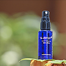 みんなでみらいを