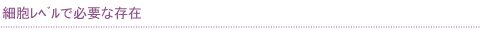 細胞レベルで必要な存在